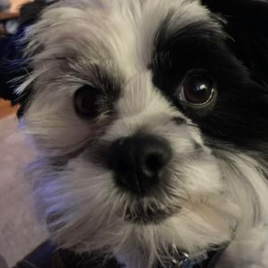 Meet your Posher, Roberta